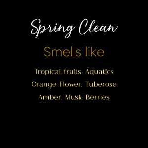 Room & Linen Refresher | 4-OZ Glass Spray Bottle