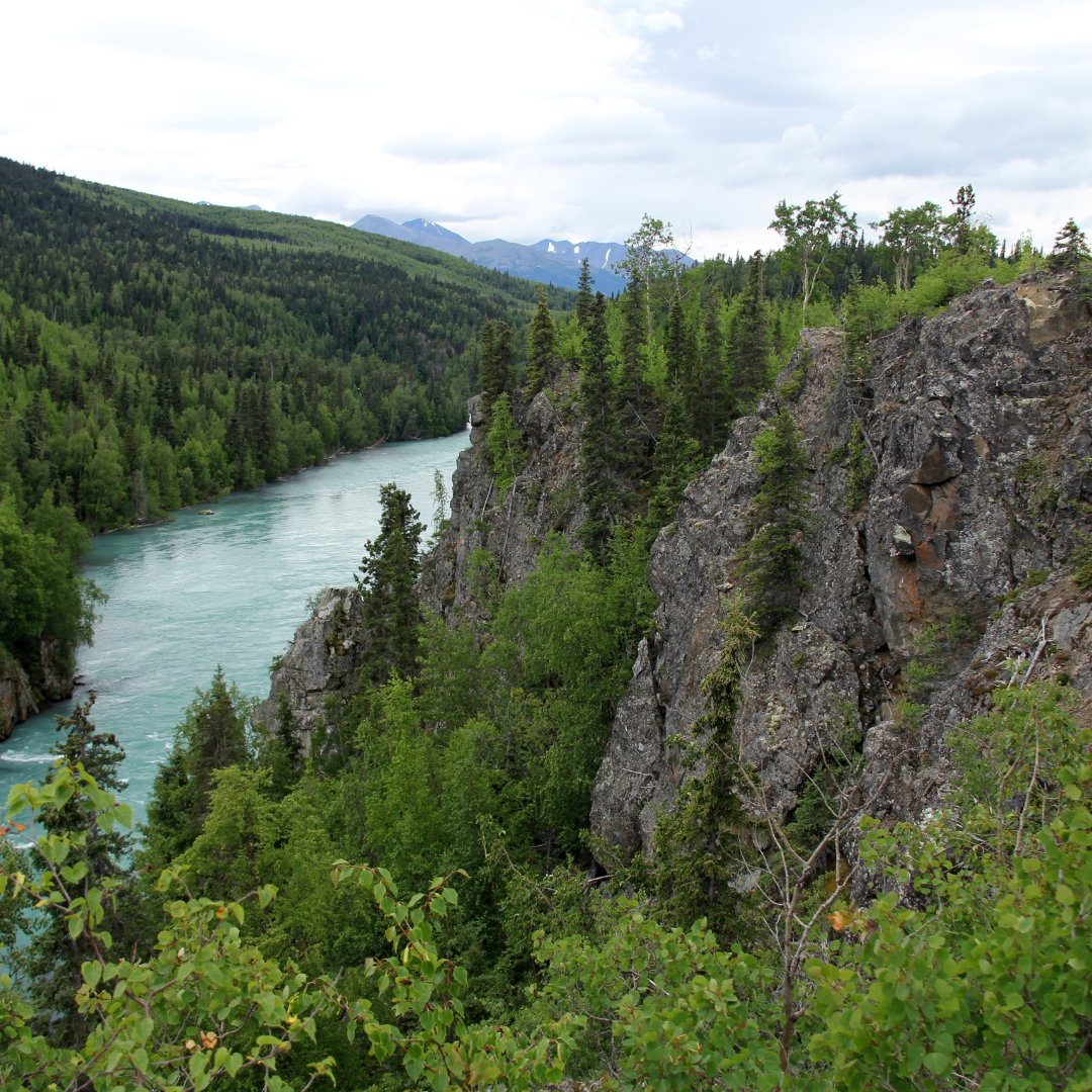 Wilderness Collection