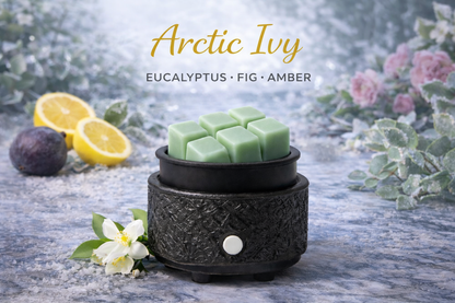 Fresh + Clean | Wax Melt Collection