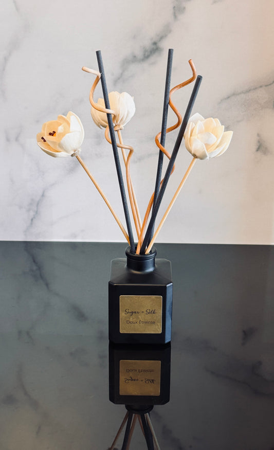 Reed Diffuser Starter Set