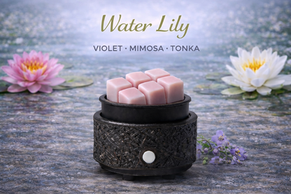Fresh + Clean | Wax Melt Collection