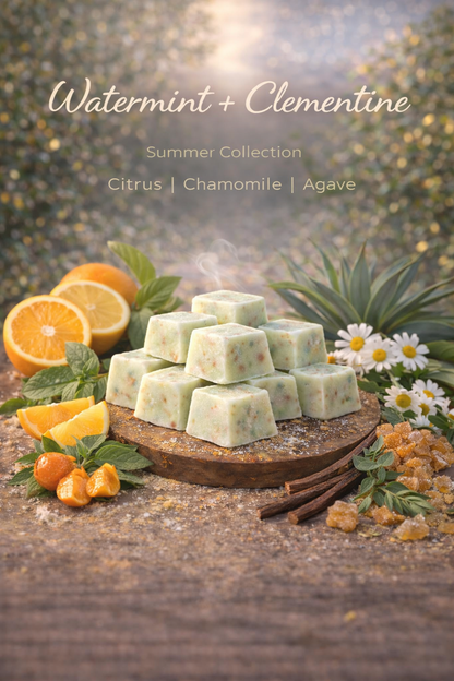 Summer | Wax Melt Collection