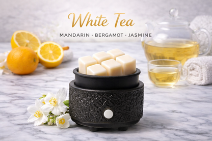 Fresh + Clean | Wax Melt Collection